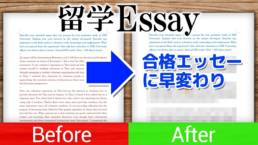 留学エッセイ Before After